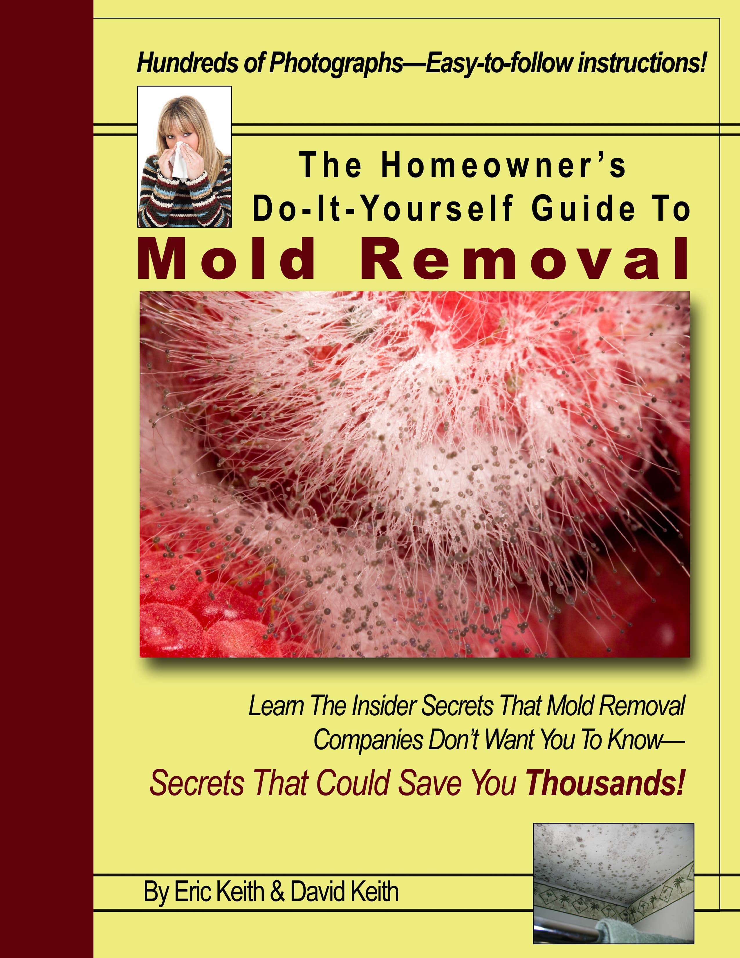 The Homeowner's Do-It-Yourself Guide to Mold Removal book cover